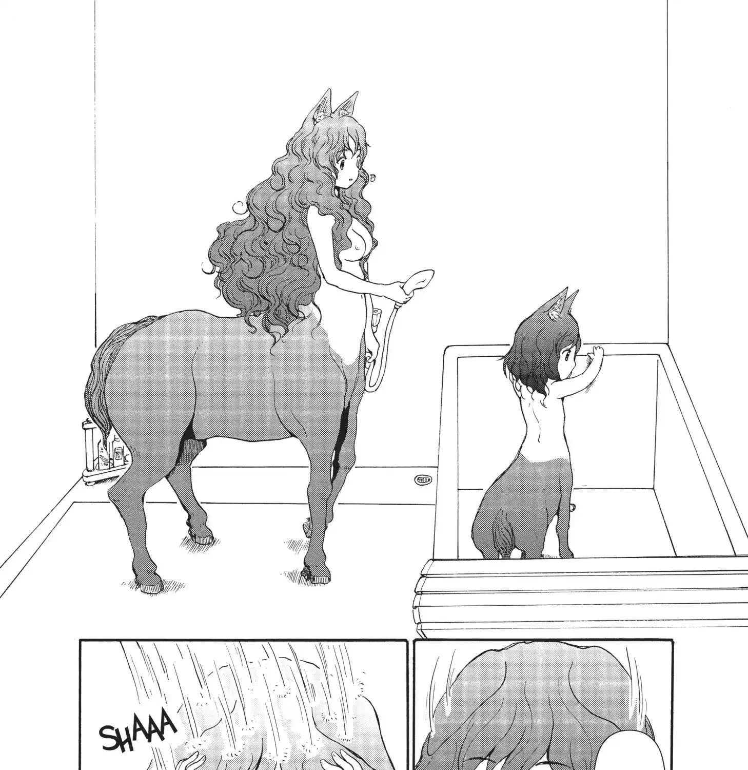 A Centaur