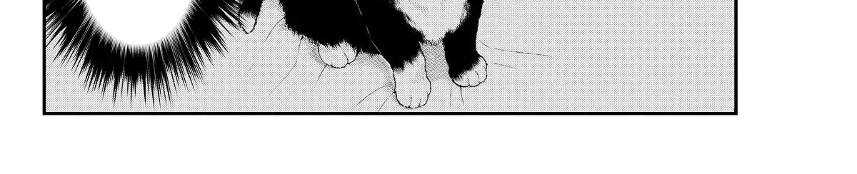 A Gamer Living with a Cat Chapter 1 page 45 - MangaKakalot