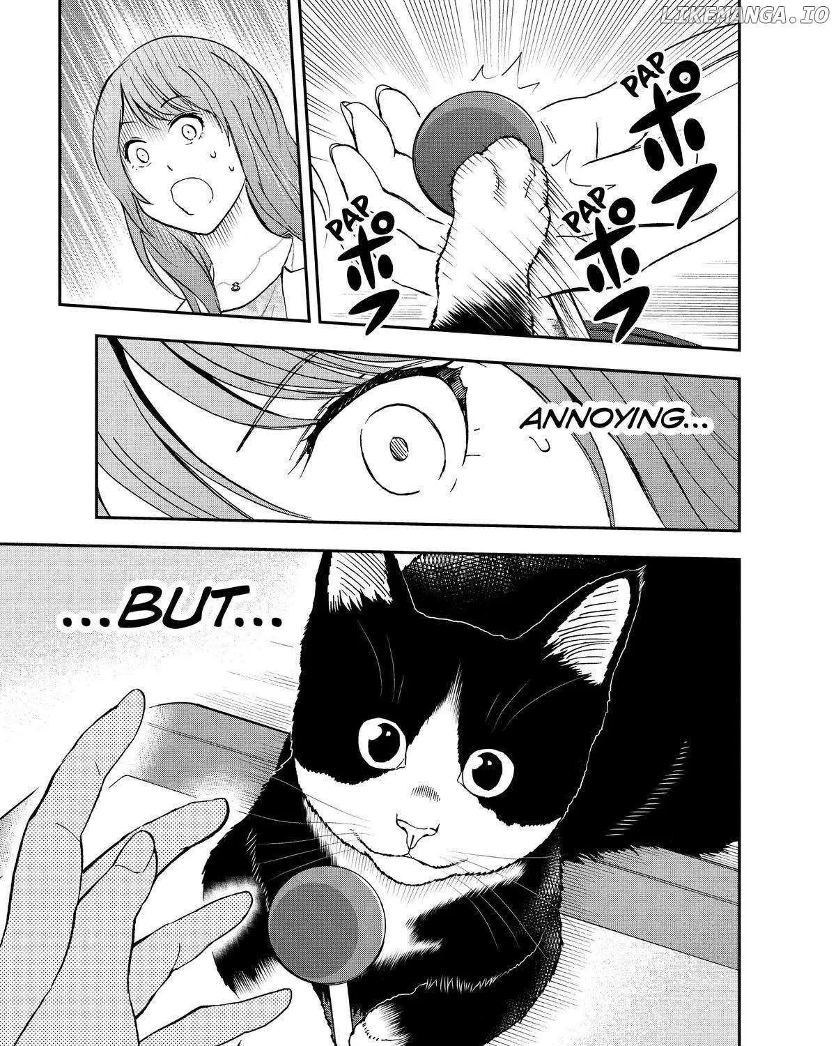 A Gamer Living with a Cat Chapter 13 page 13 - MangaKakalot