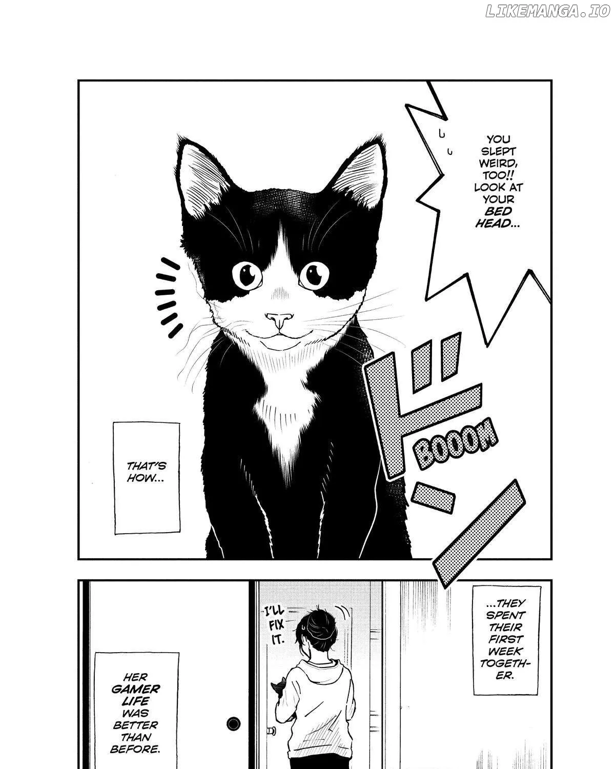 A Gamer Living with a Cat Chapter 17.5 page 28 - MangaKakalot