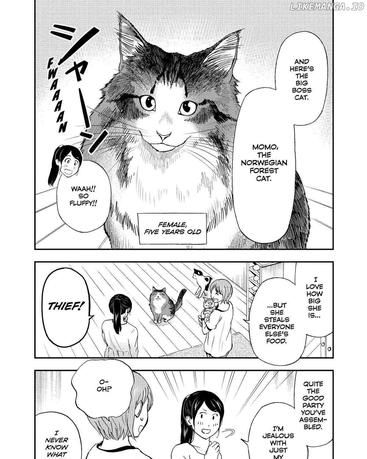 A Gamer Living with a Cat Chapter 17 page 20 - MangaKakalot