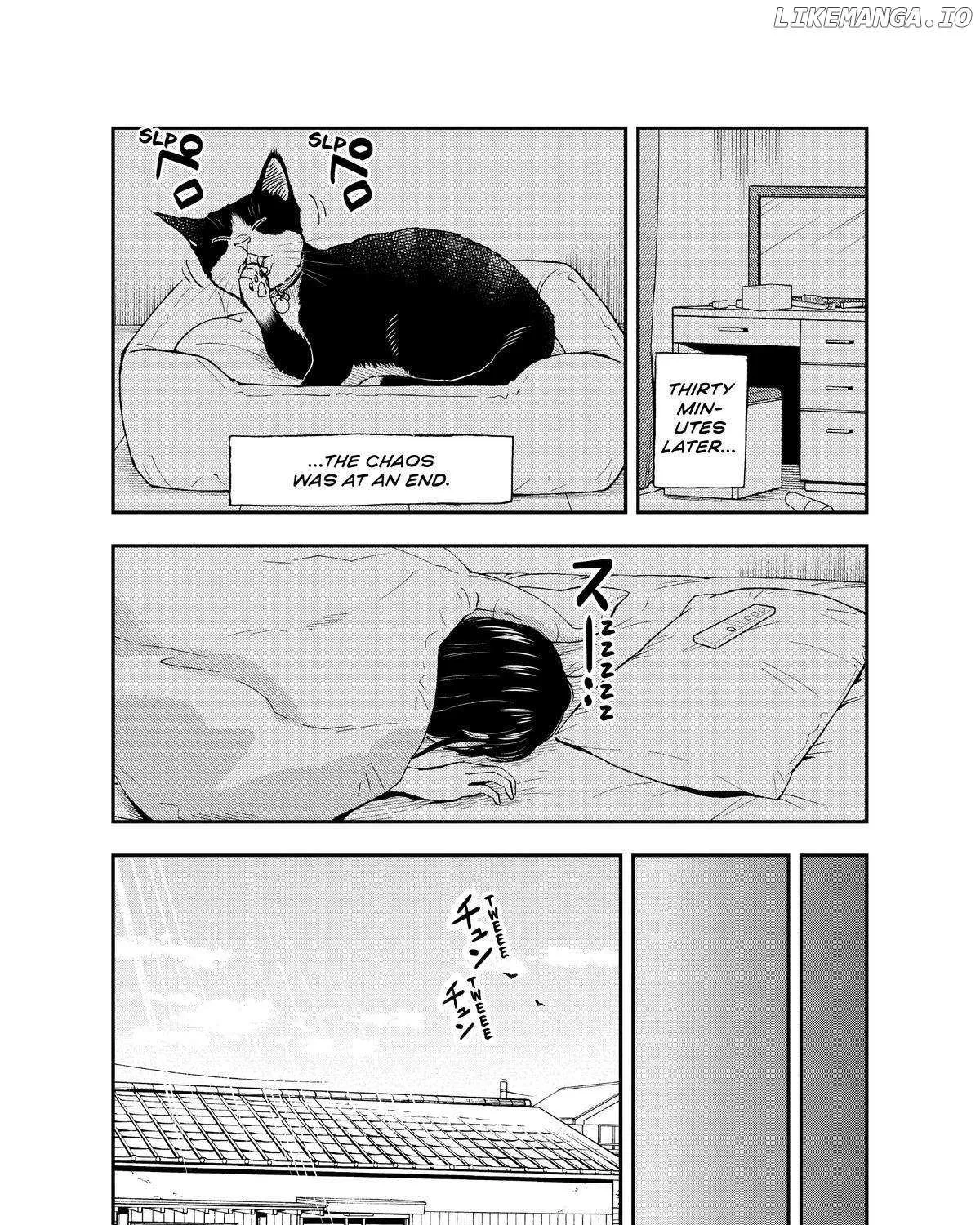 A Gamer Living with a Cat Chapter 19 page 12 - MangaKakalot