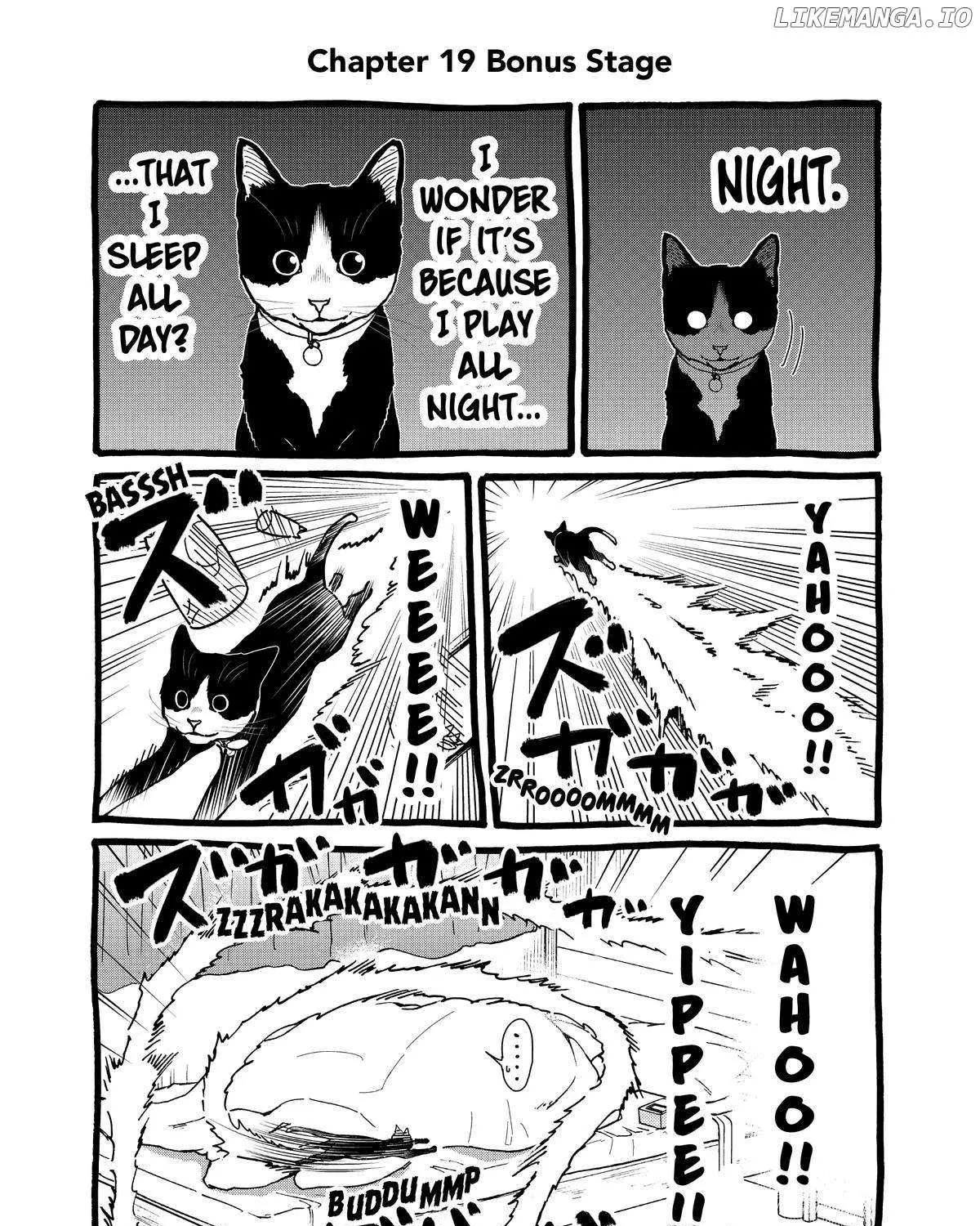 A Gamer Living with a Cat Chapter 19 page 38 - MangaKakalot