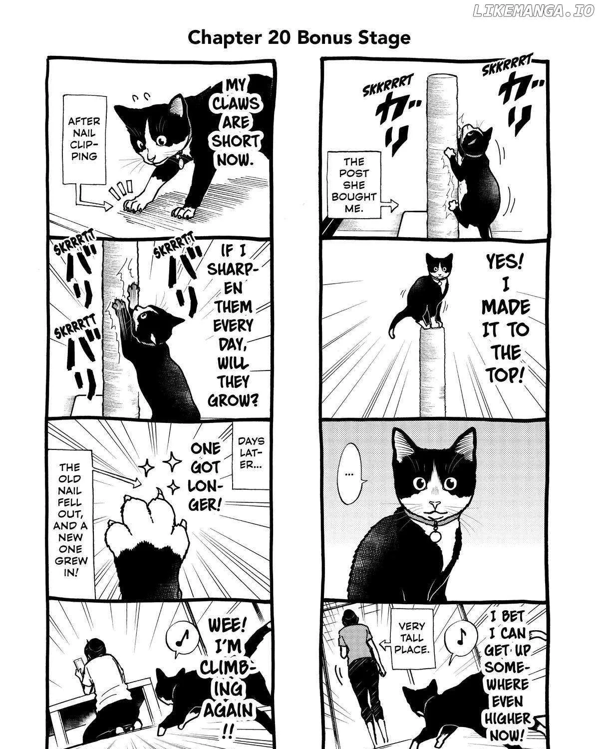 A Gamer Living with a Cat Chapter 20 page 34 - MangaNato