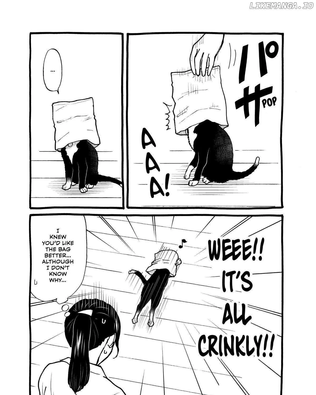 A Gamer Living with a Cat Chapter 24 page 35 - MangaKakalot