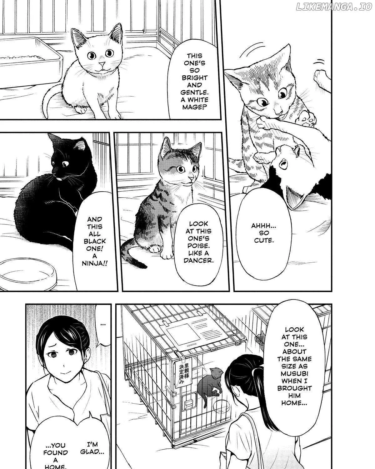 A Gamer Living with a Cat Chapter 28 page 17 - MangaKakalot