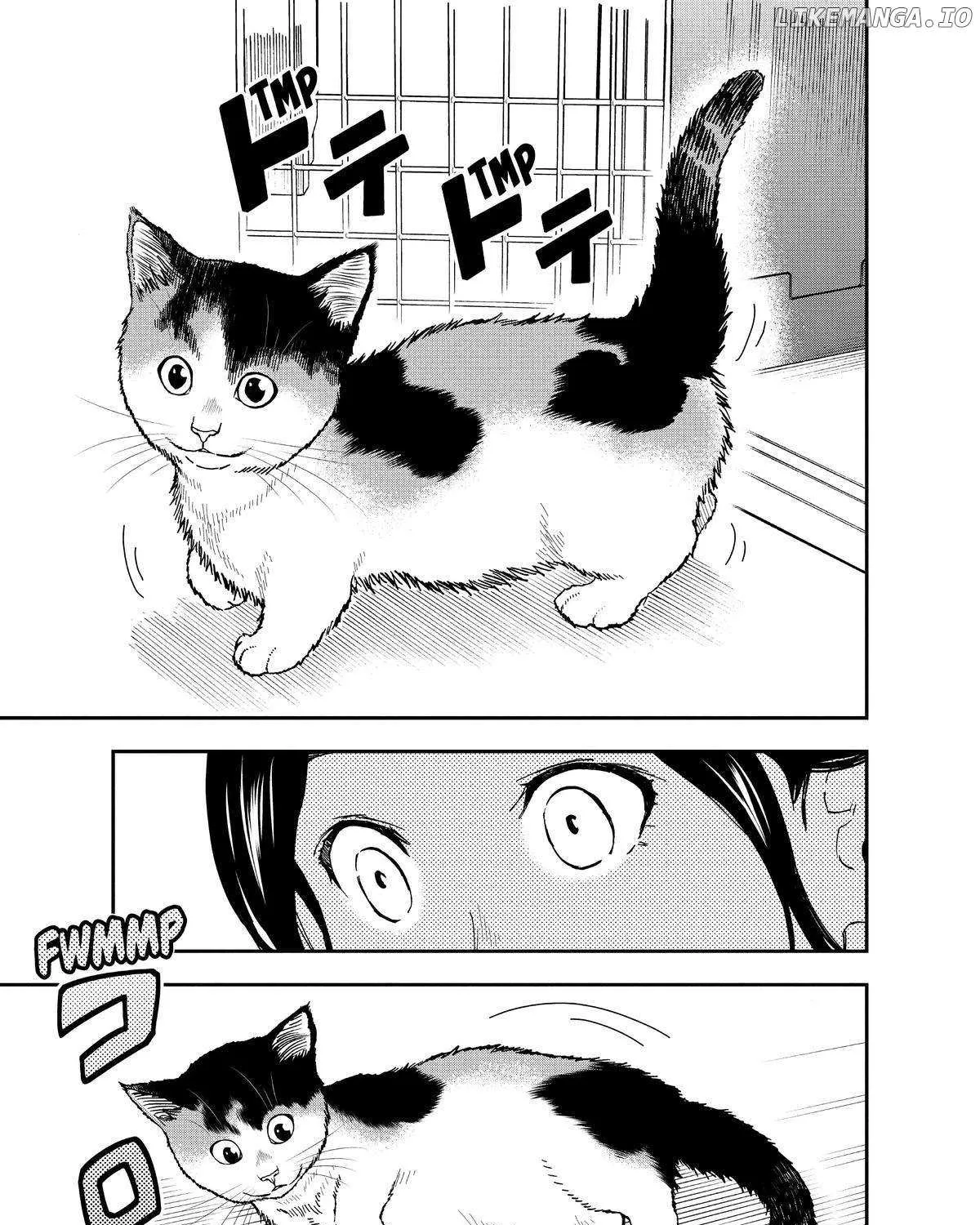 A Gamer Living with a Cat Chapter 28 page 25 - MangaKakalot