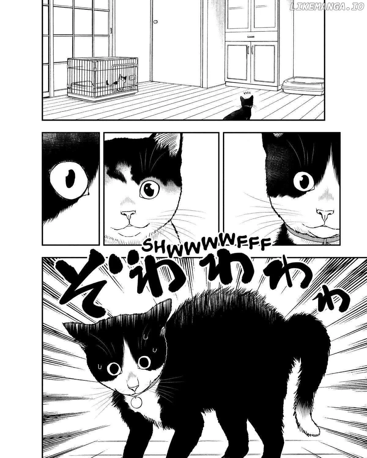 A Gamer Living with a Cat Chapter 29 page 11 - MangaKakalot