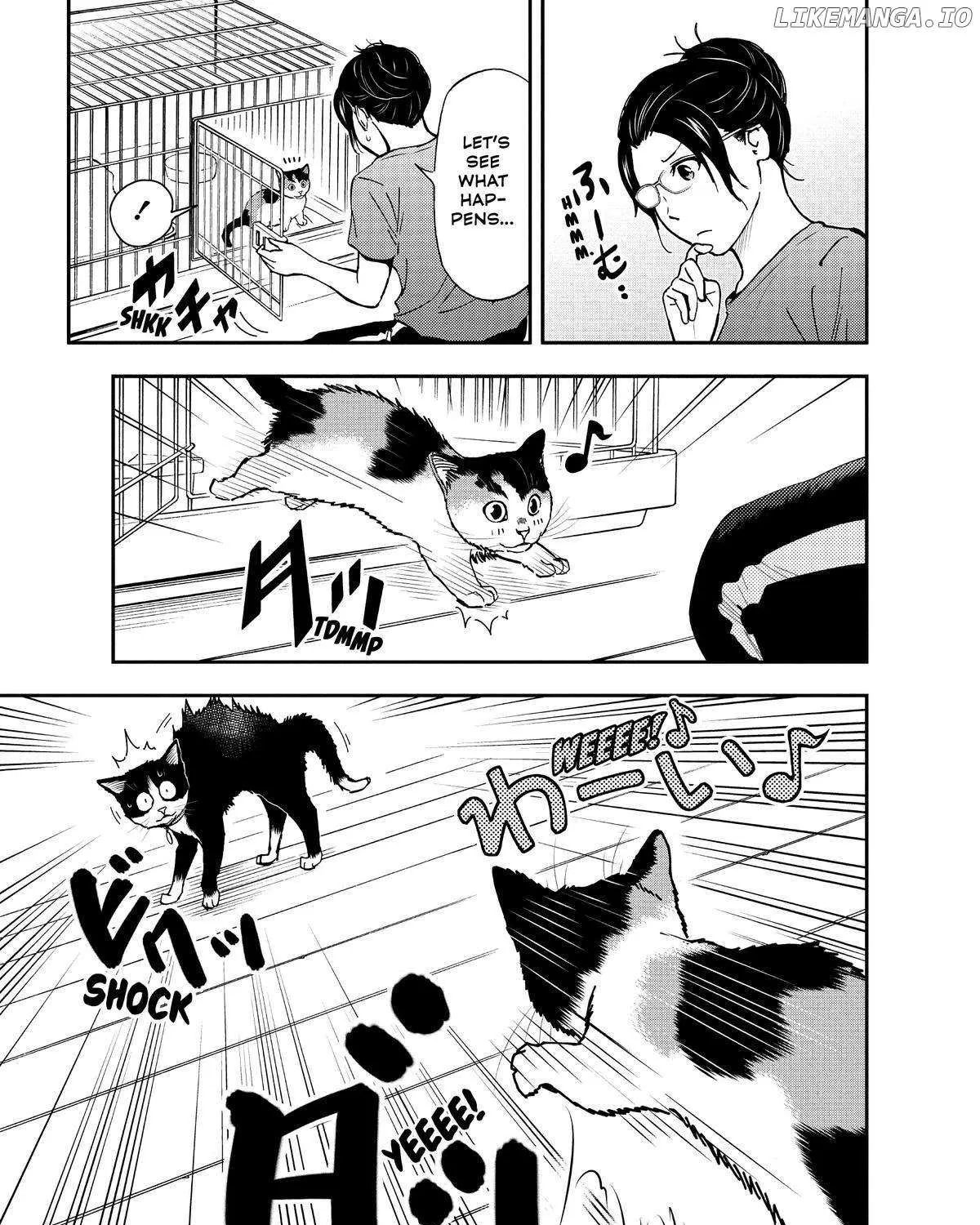 A Gamer Living with a Cat Chapter 29 page 21 - MangaKakalot