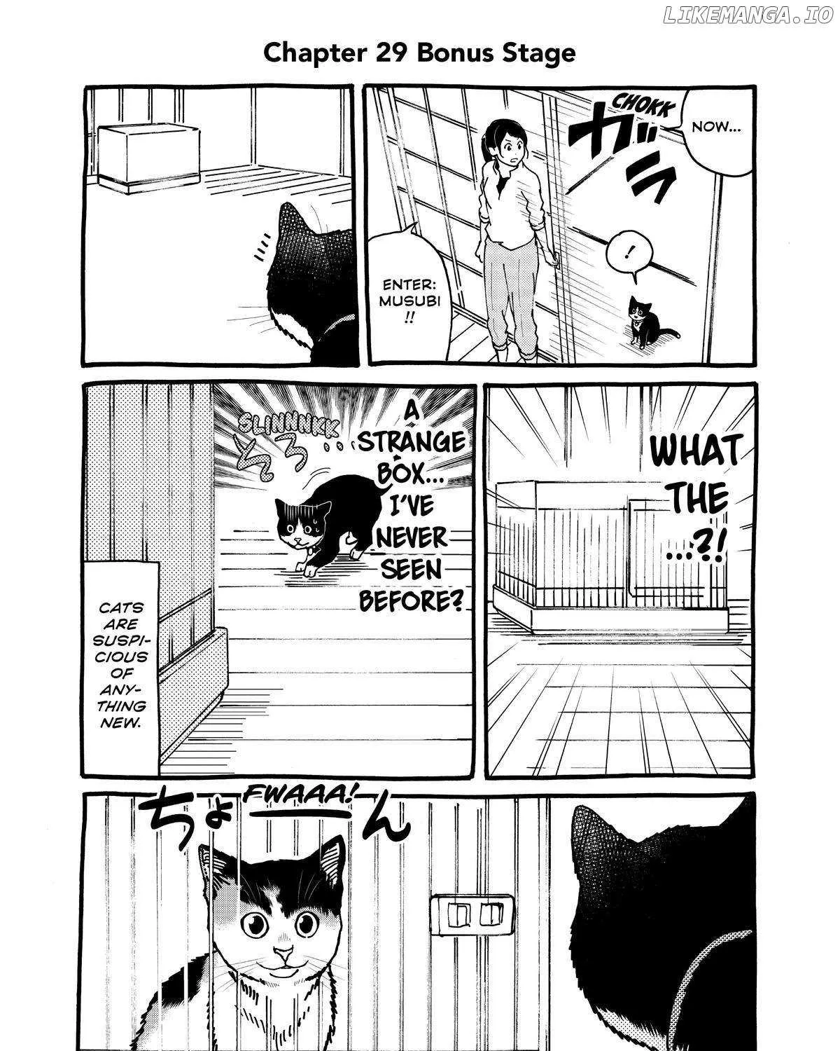 A Gamer Living with a Cat Chapter 29 page 33 - MangaKakalot