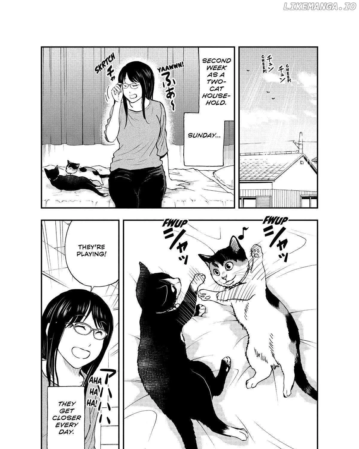 A Gamer Living with a Cat Chapter 32 page 4 - MangaKakalot