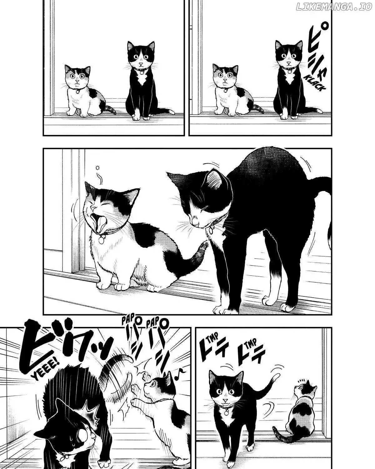 A Gamer Living with a Cat Chapter 33 page 5 - MangaKakalot