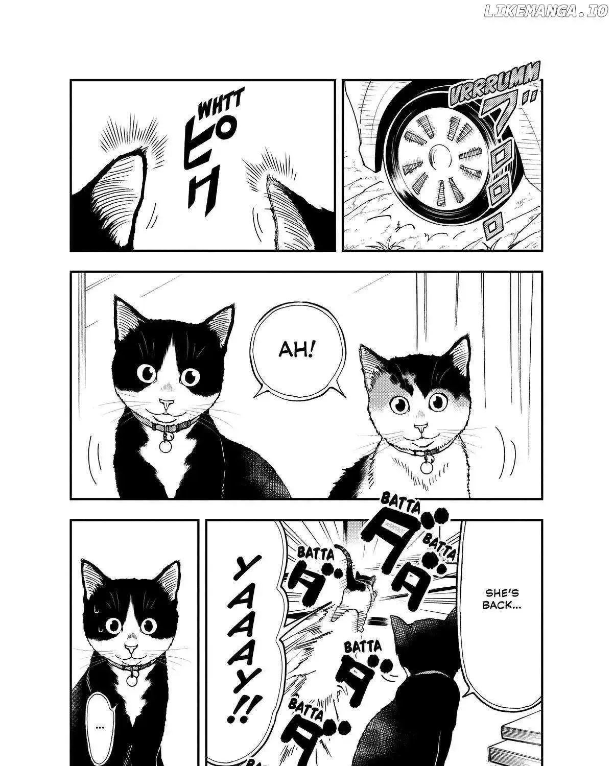 A Gamer Living with a Cat Chapter 34 page 3 - MangaKakalot