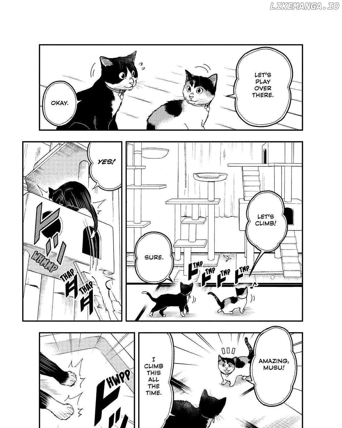 A Gamer Living with a Cat Chapter 34 page 21 - MangaKakalot