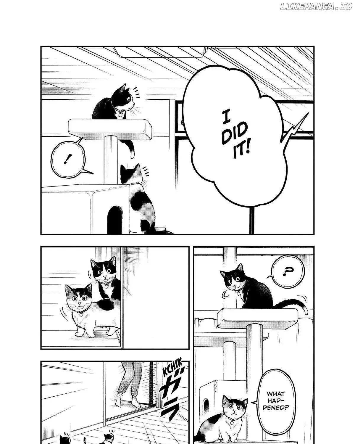 A Gamer Living with a Cat Chapter 34 page 25 - MangaNato