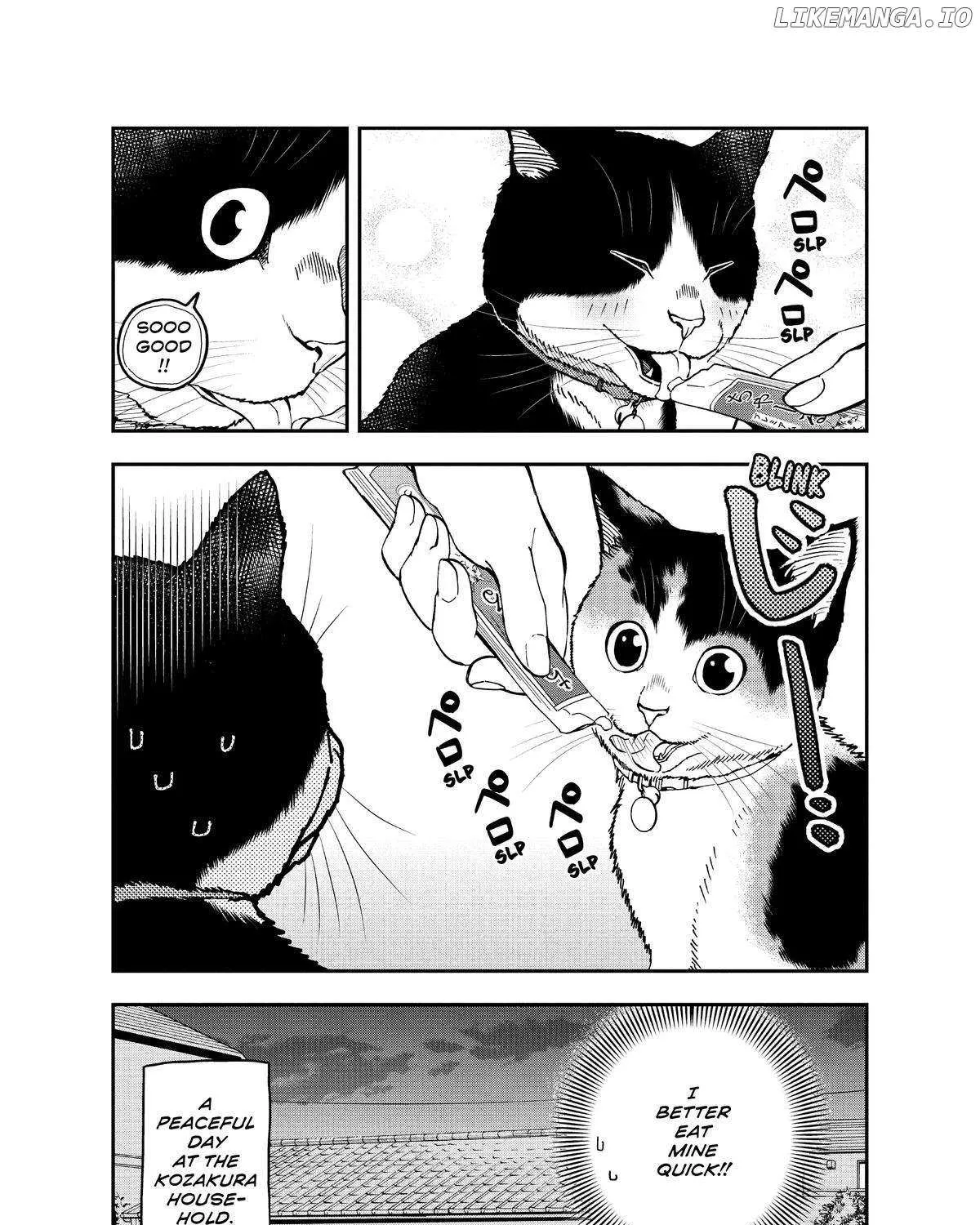 A Gamer Living with a Cat Chapter 34 page 31 - MangaNato