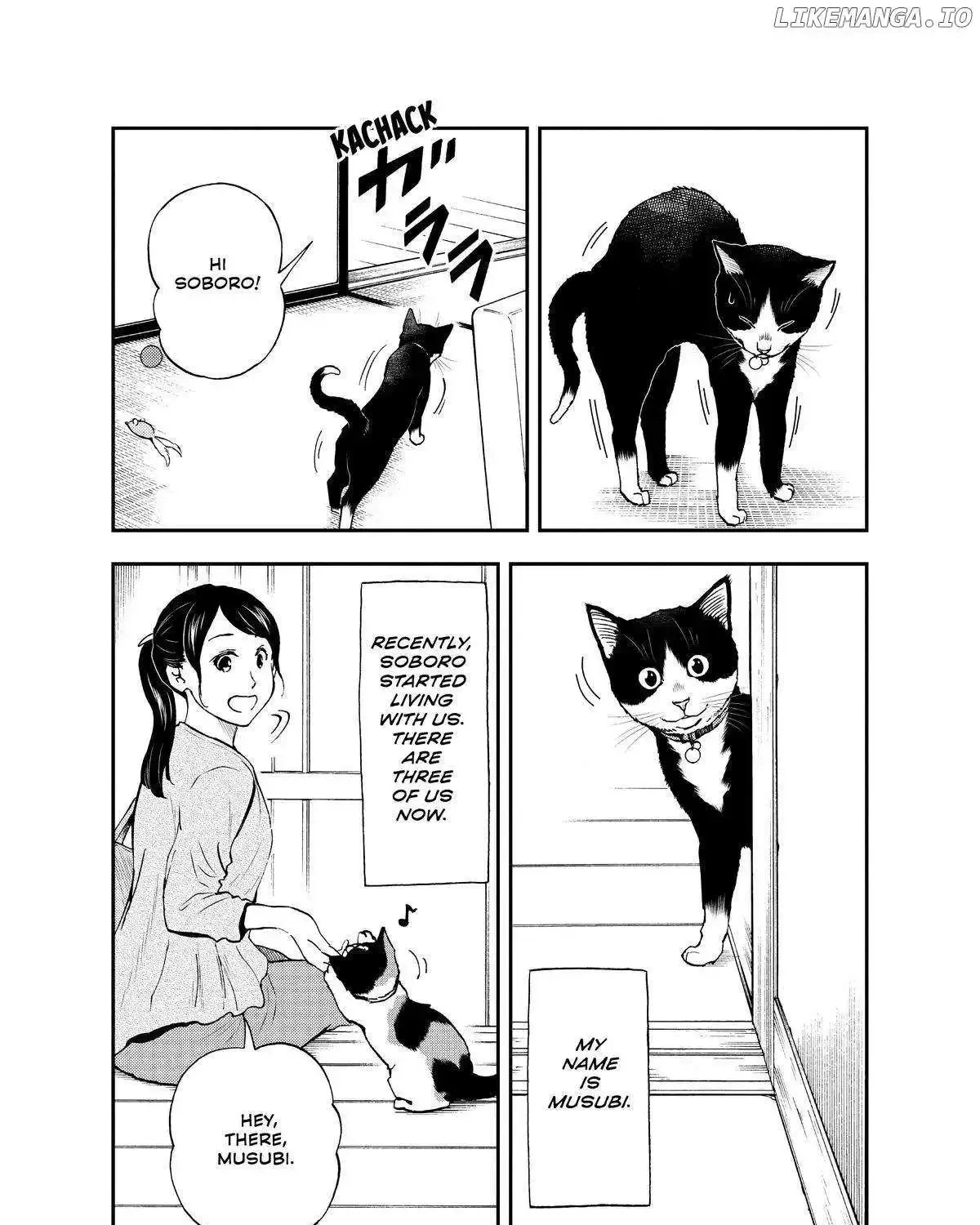 A Gamer Living with a Cat Chapter 34 page 5 - MangaKakalot