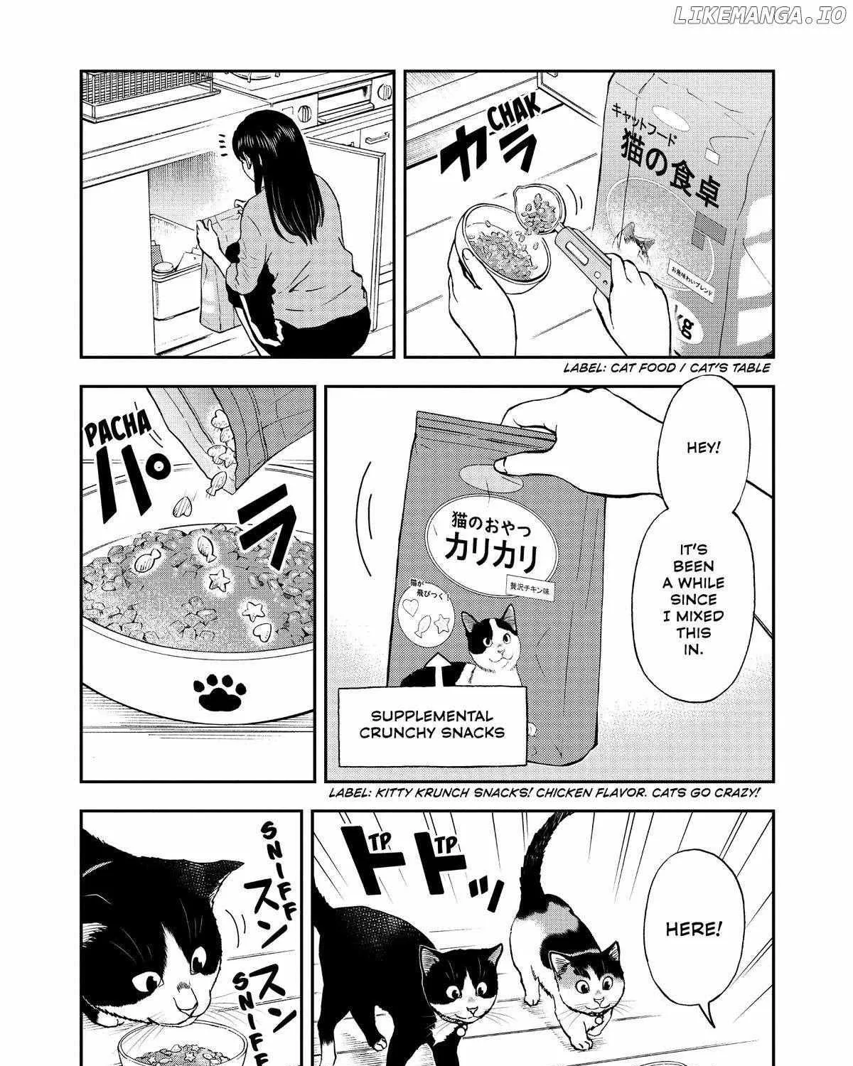 A Gamer Living with a Cat Chapter 36 page 17 - MangaKakalot