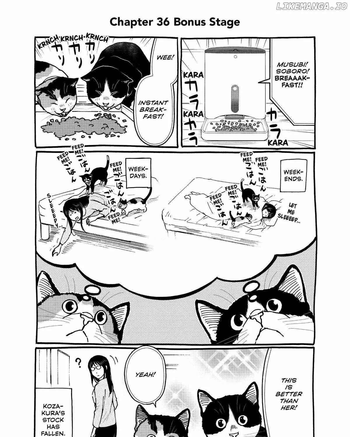 A Gamer Living with a Cat Chapter 36 page 39 - MangaKakalot