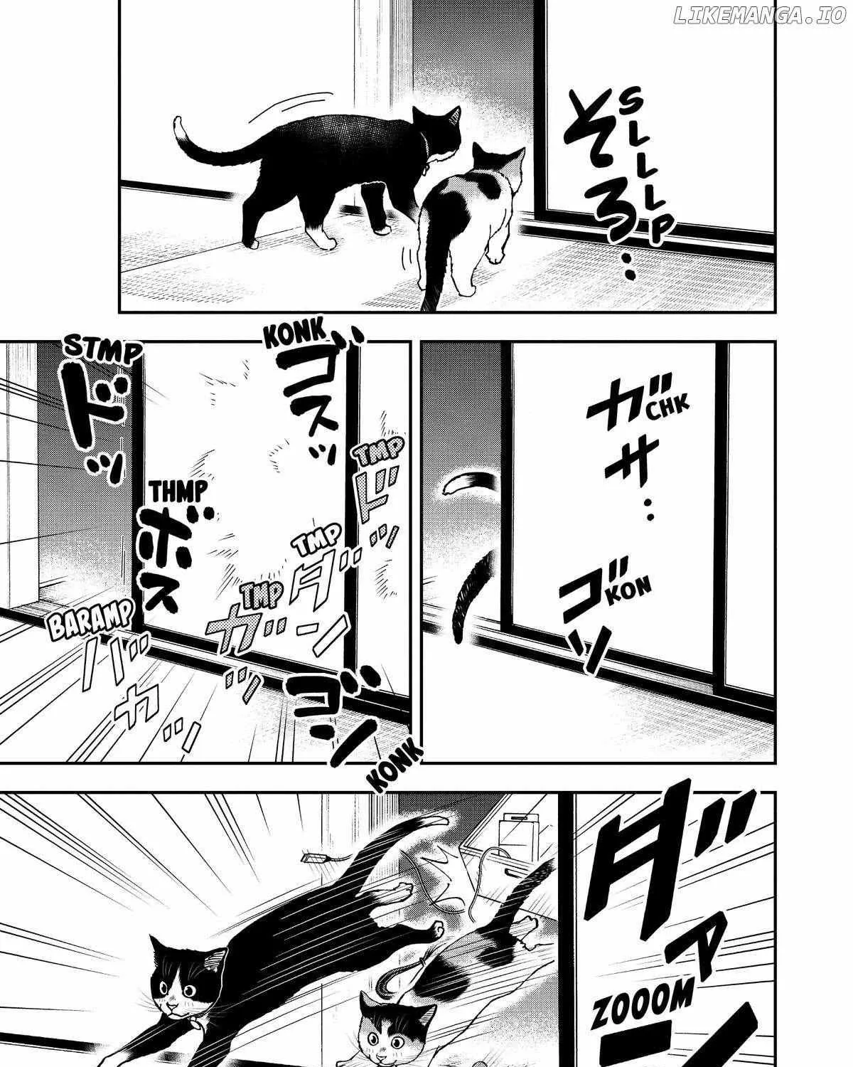 A Gamer Living with a Cat Chapter 38 page 13 - MangaKakalot