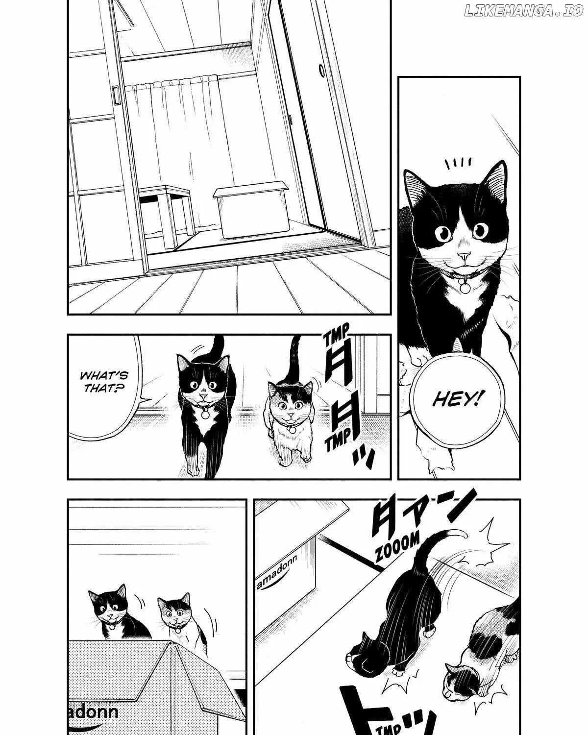 A Gamer Living with a Cat Chapter 38 page 25 - MangaKakalot