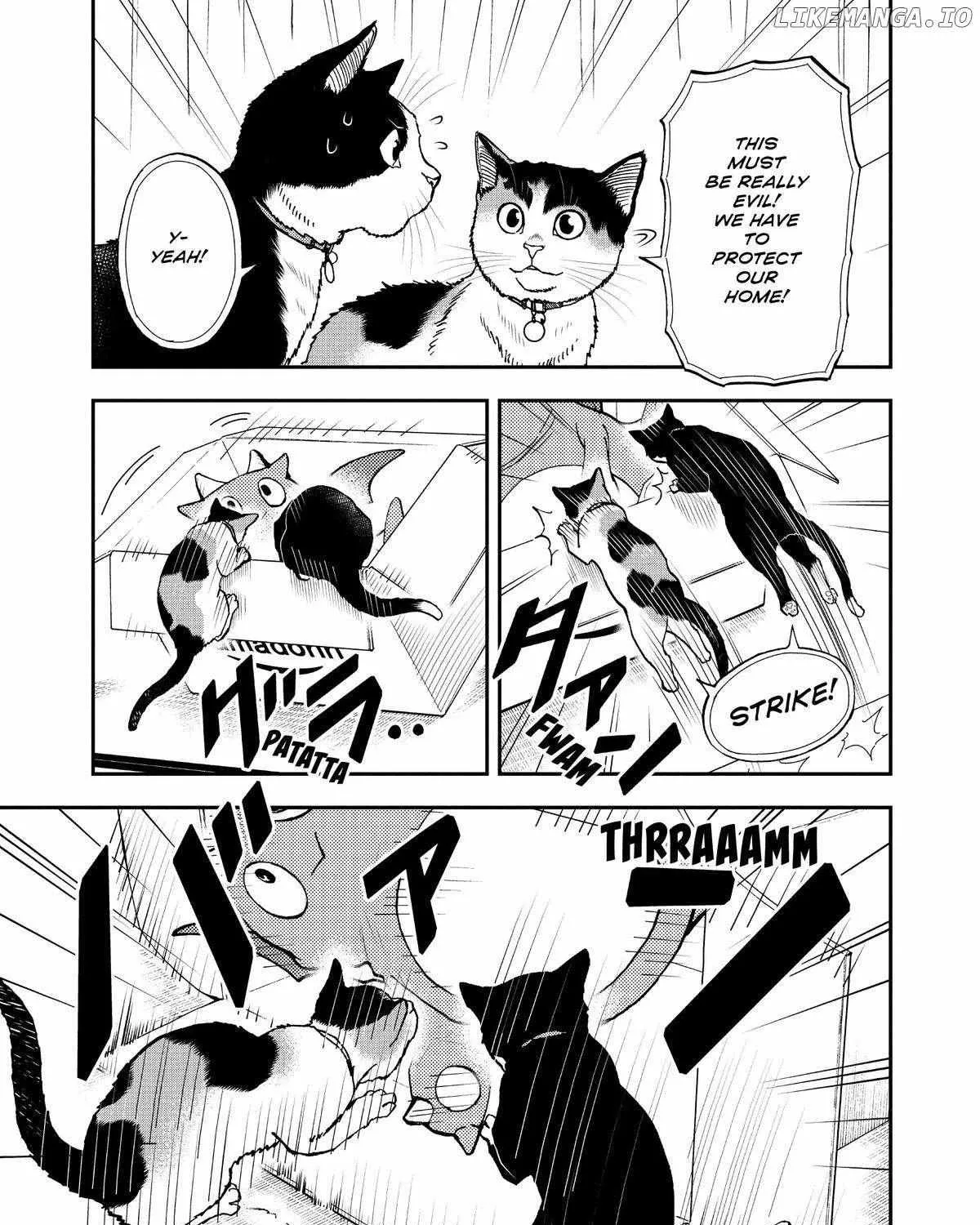 A Gamer Living with a Cat Chapter 38 page 29 - MangaKakalot