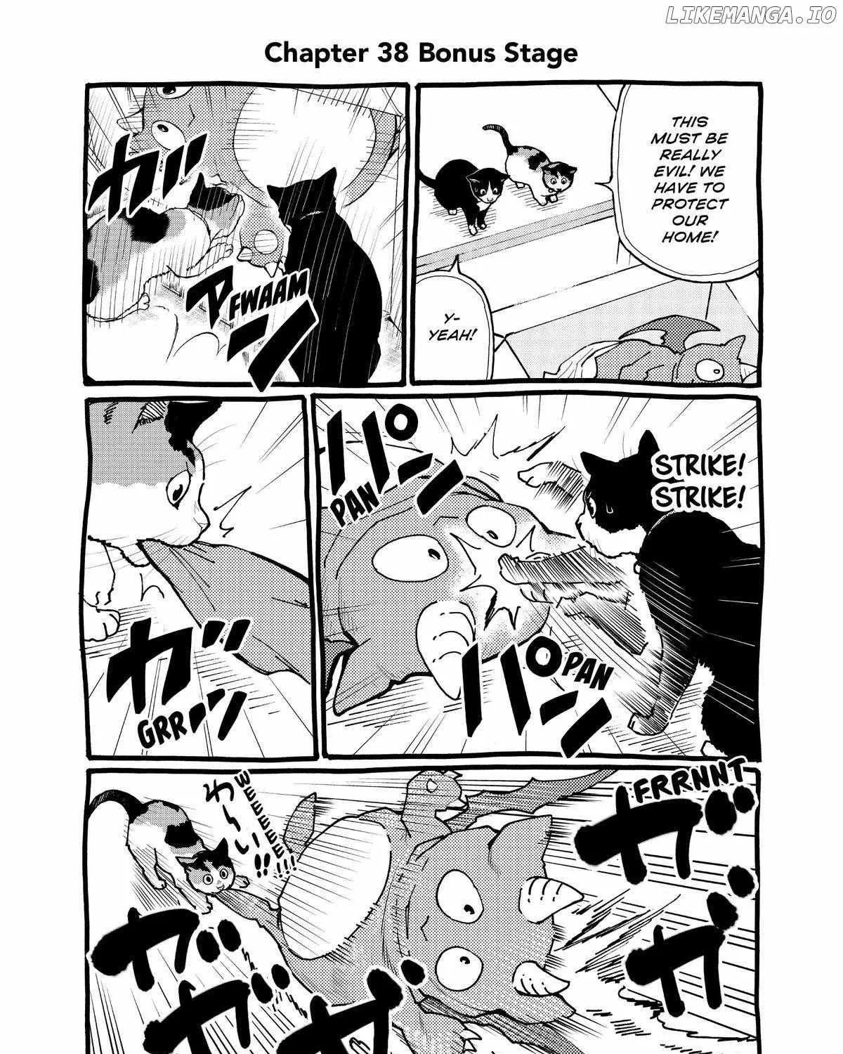 A Gamer Living with a Cat Chapter 38 page 37 - MangaKakalot