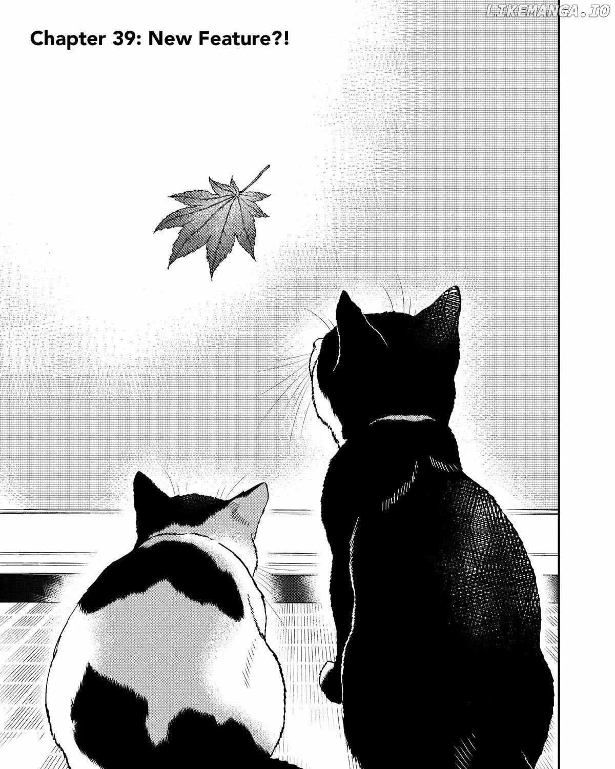 A Gamer Living with a Cat Chapter 39 page 2 - MangaKakalot