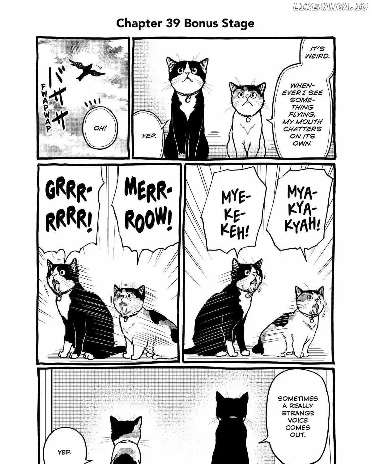 A Gamer Living with a Cat Chapter 39 page 22 - MangaKakalot