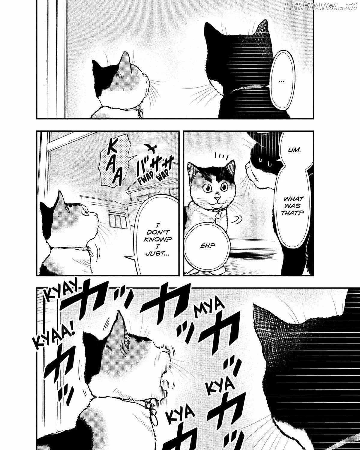 A Gamer Living with a Cat Chapter 39 page 8 - MangaKakalot