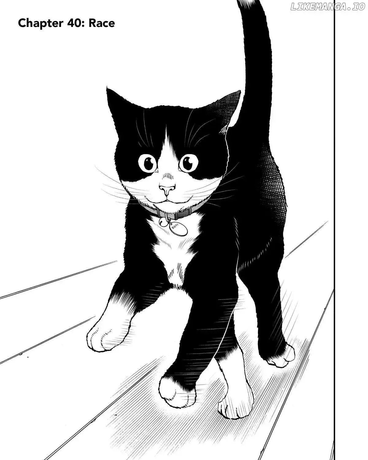 A Gamer Living with a Cat Chapter 40 page 2 - MangaKakalot