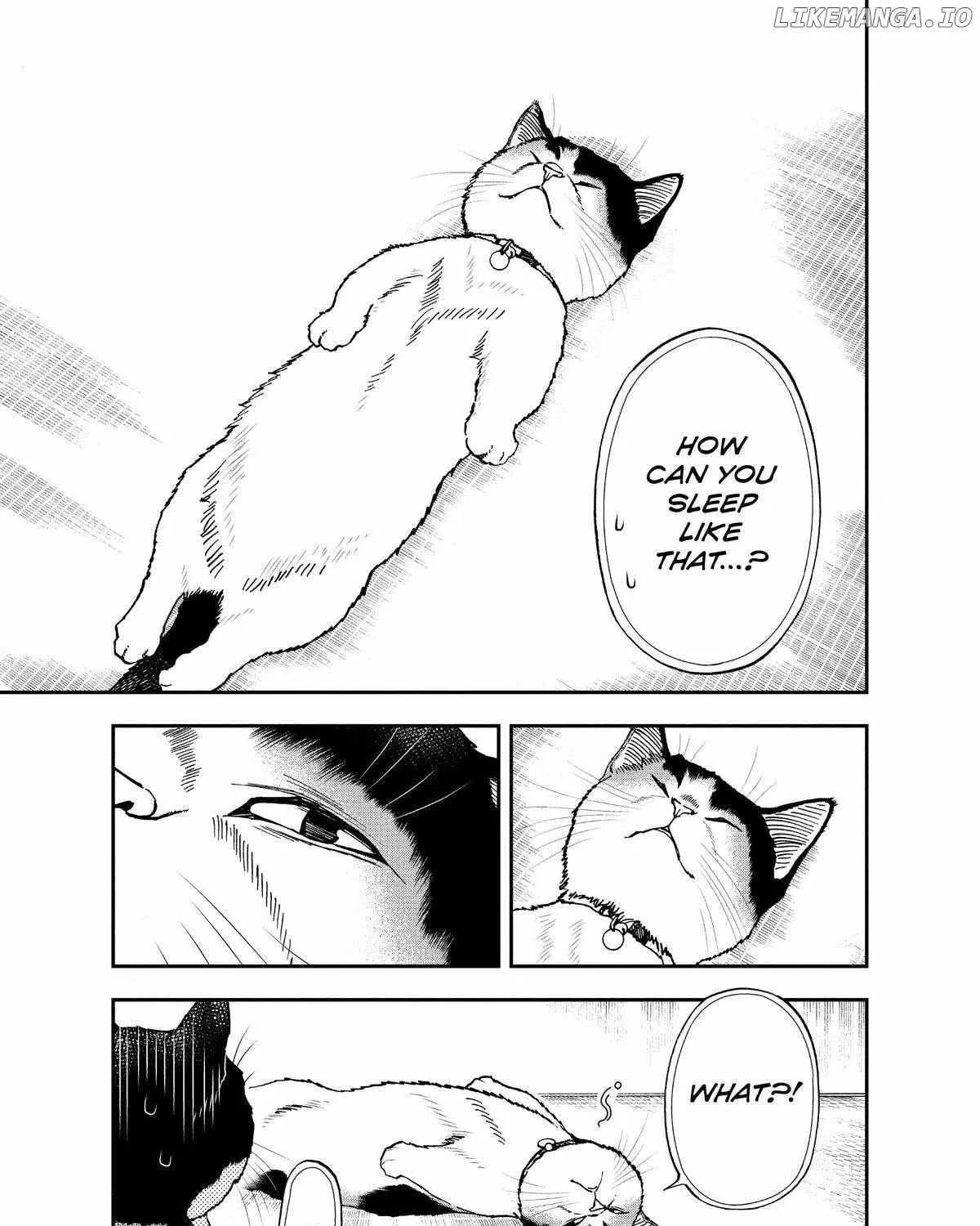 A Gamer Living with a Cat Chapter 41 page 6 - MangaKakalot