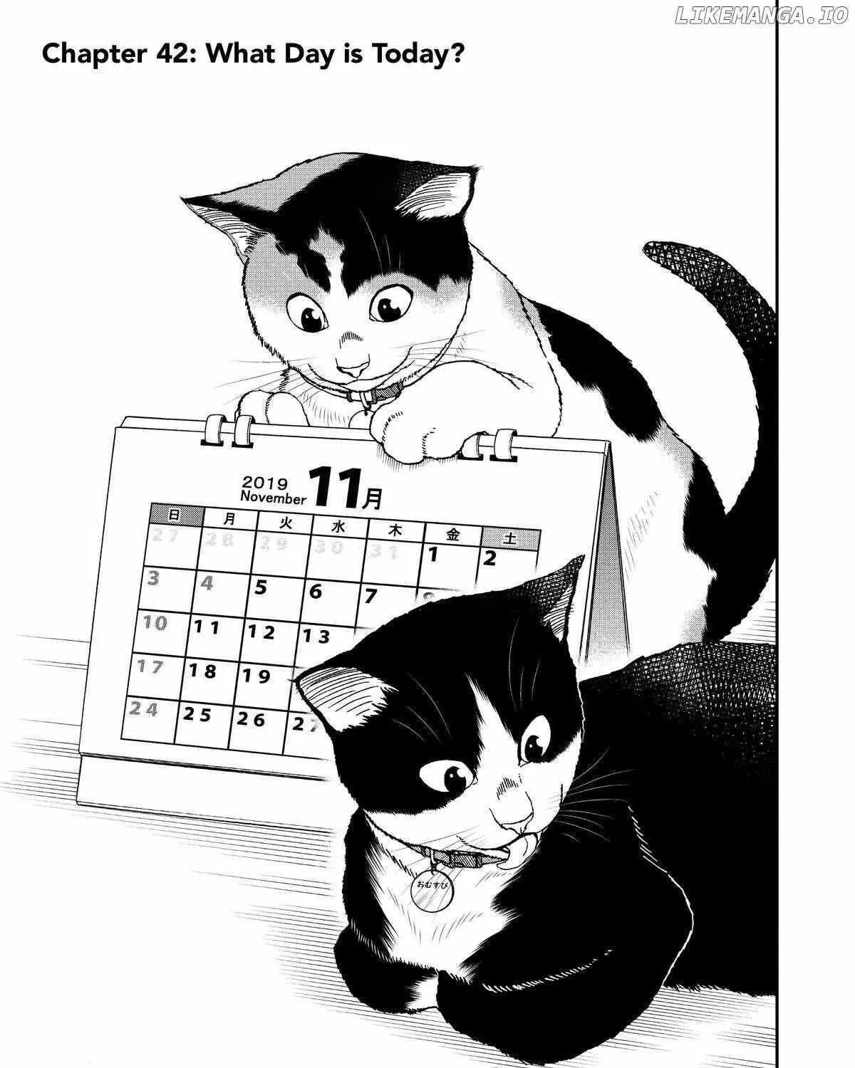 A Gamer Living with a Cat Chapter 42 page 1 - MangaKakalot