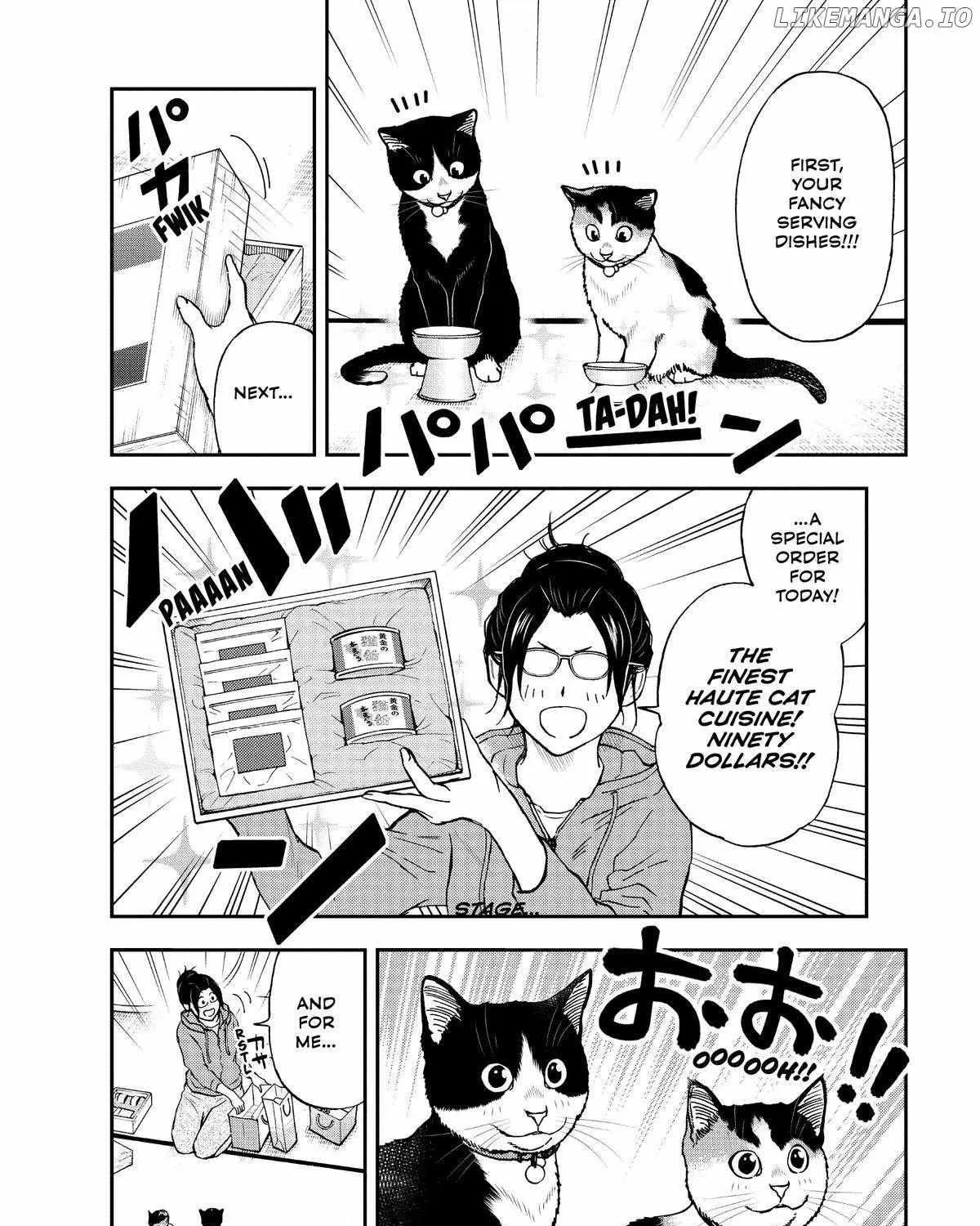 A Gamer Living with a Cat Chapter 42 page 15 - MangaKakalot