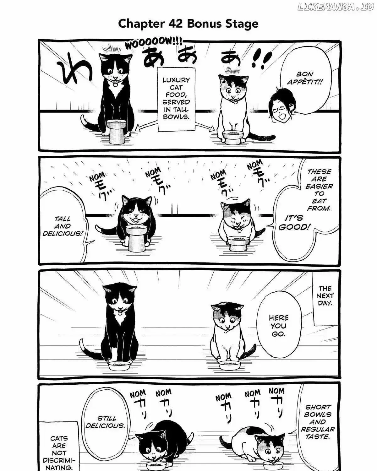 A Gamer Living with a Cat Chapter 42 page 37 - MangaKakalot