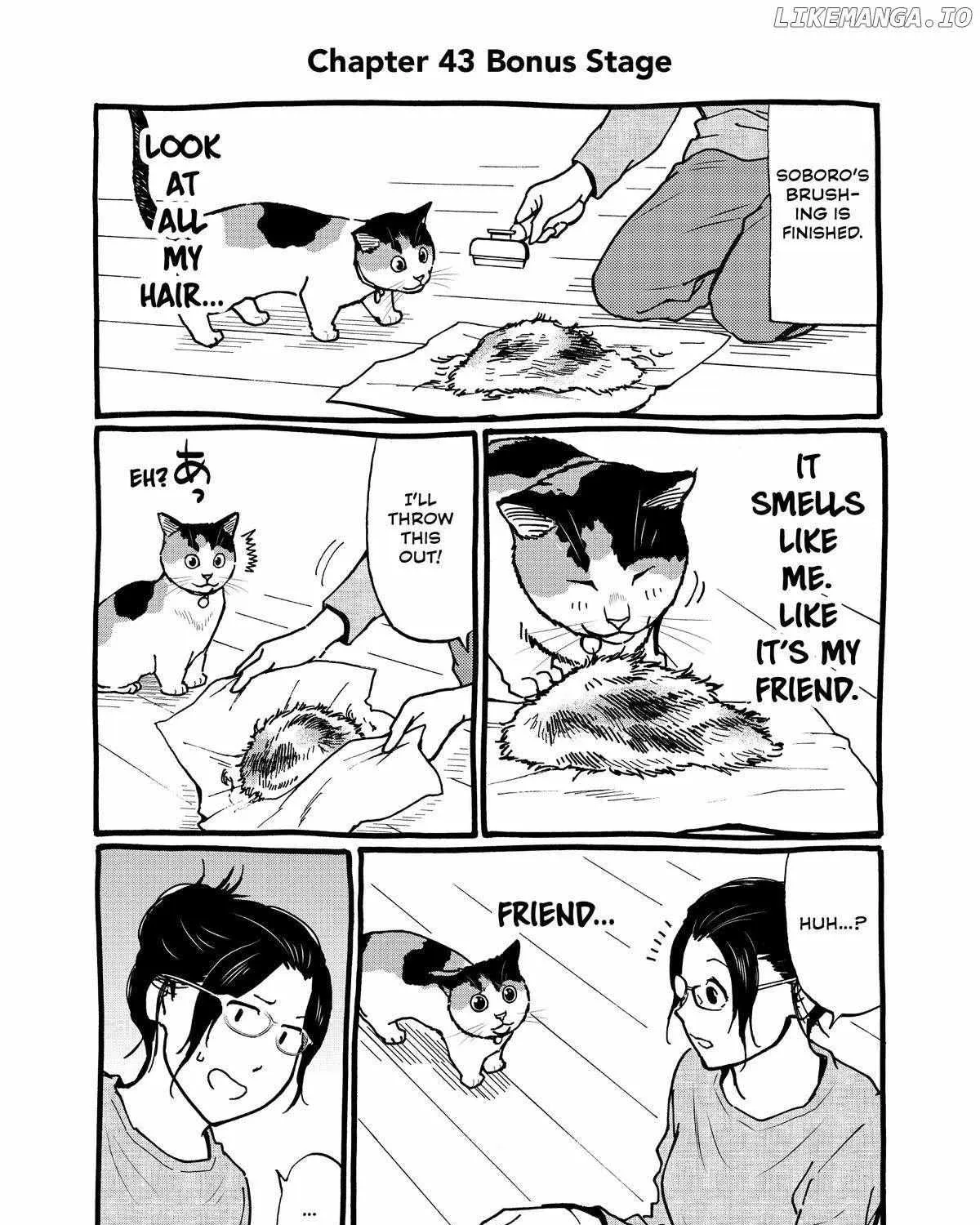 A Gamer Living with a Cat Chapter 43 page 30 - MangaKakalot