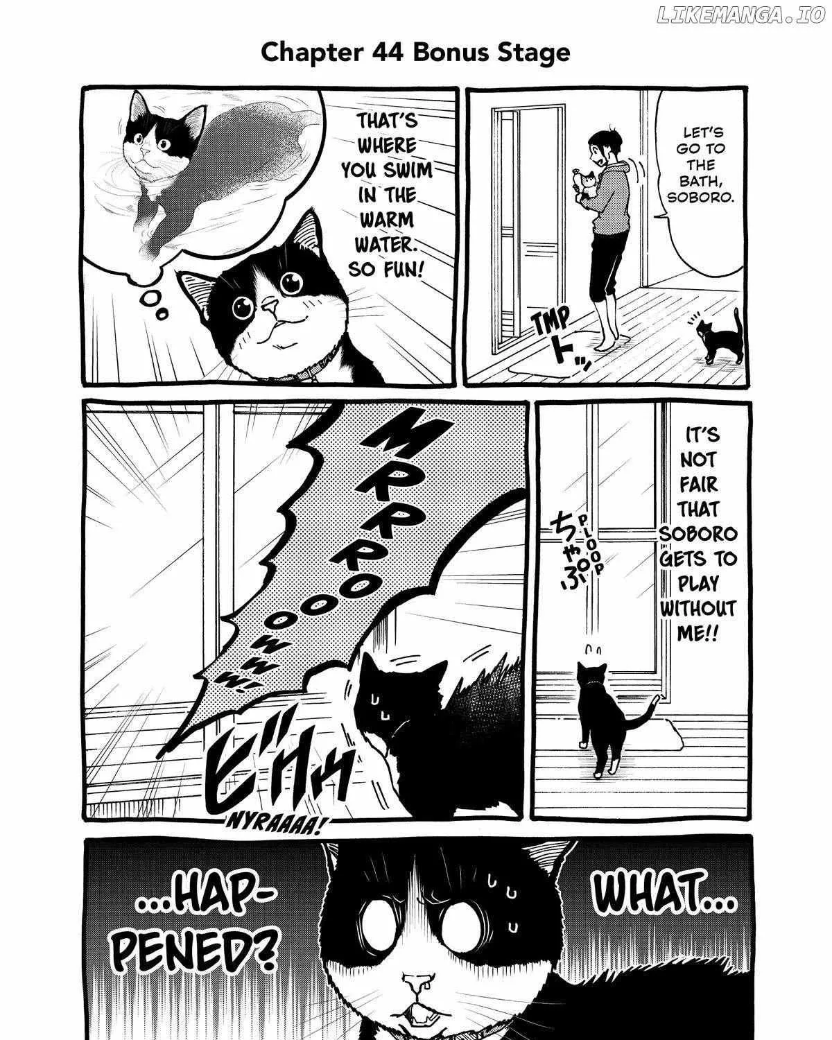 A Gamer Living with a Cat Chapter 44 page 30 - MangaNato