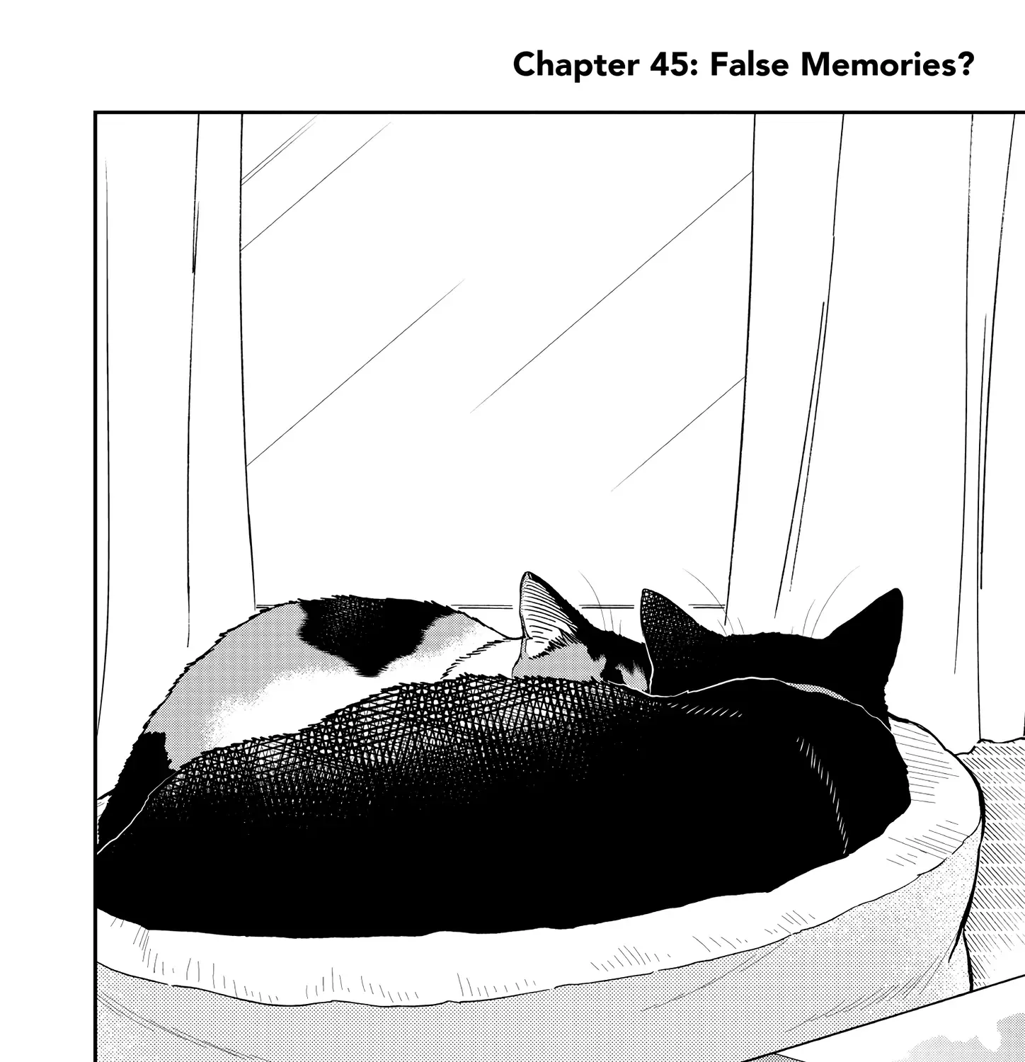 A Gamer Living with a Cat Chapter 45 page 9 - MangaKakalot