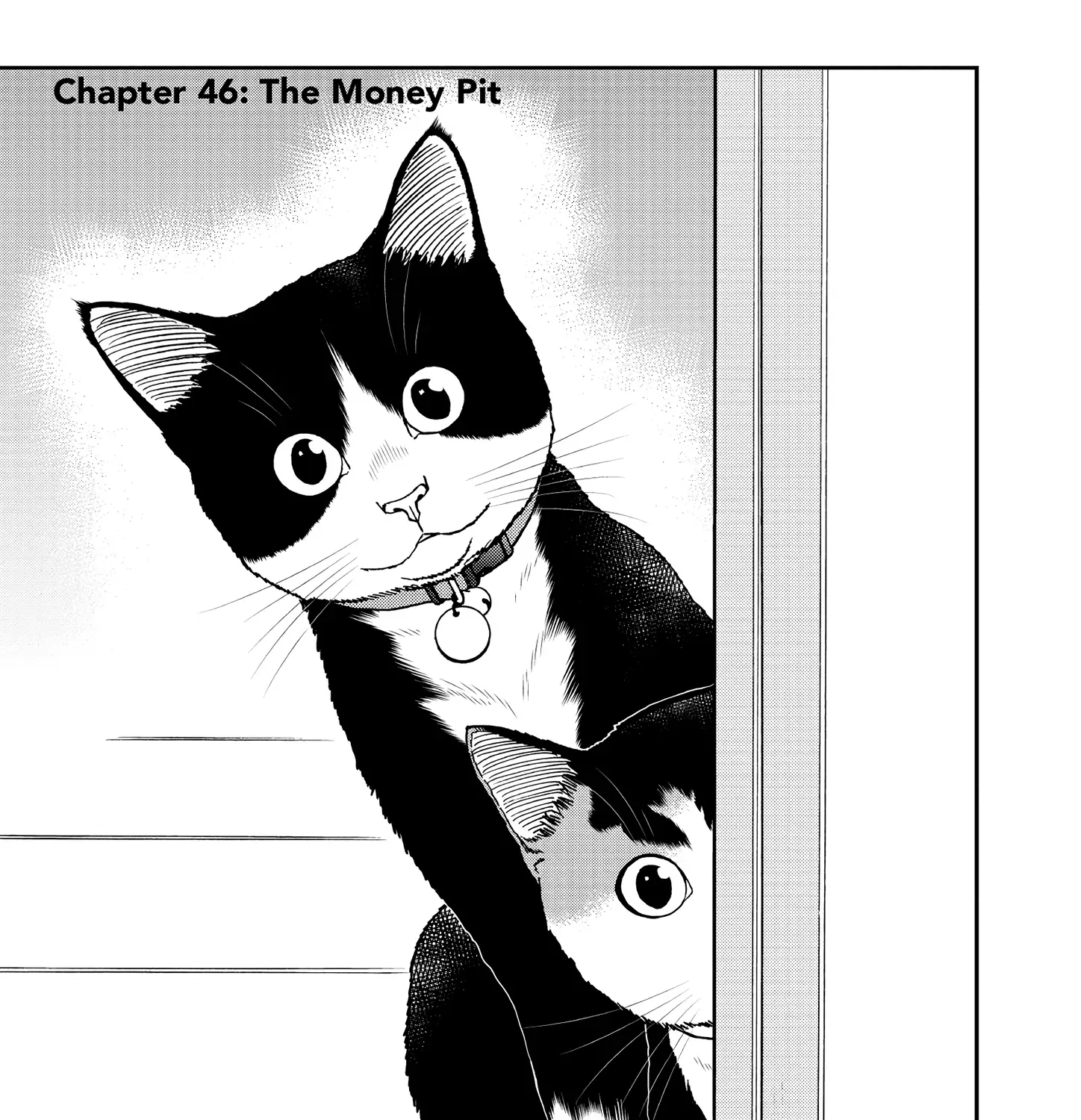 A Gamer Living with a Cat Chapter 46 page 1 - MangaKakalot