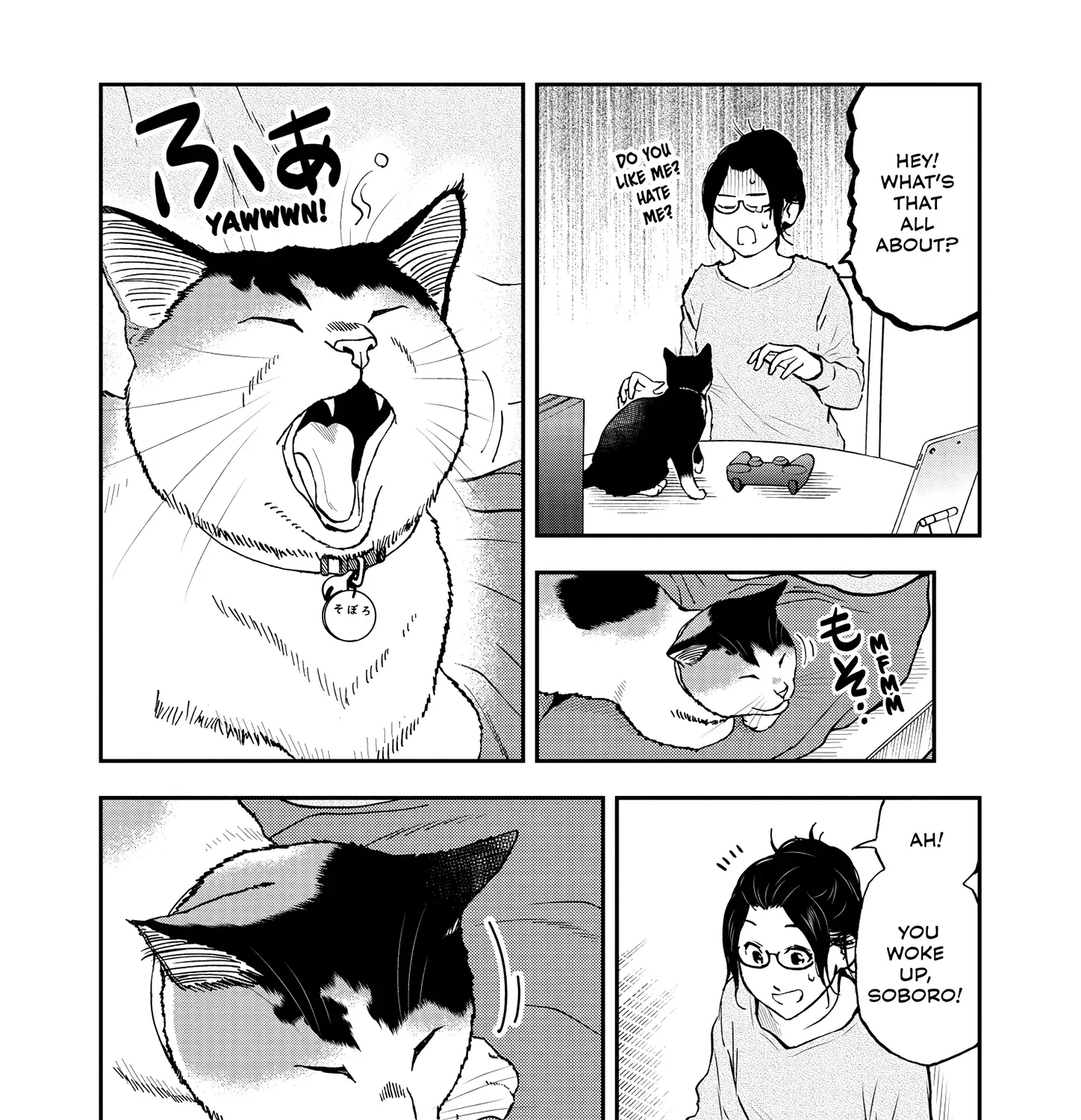 A Gamer Living with a Cat Chapter 47 page 16 - MangaKakalot