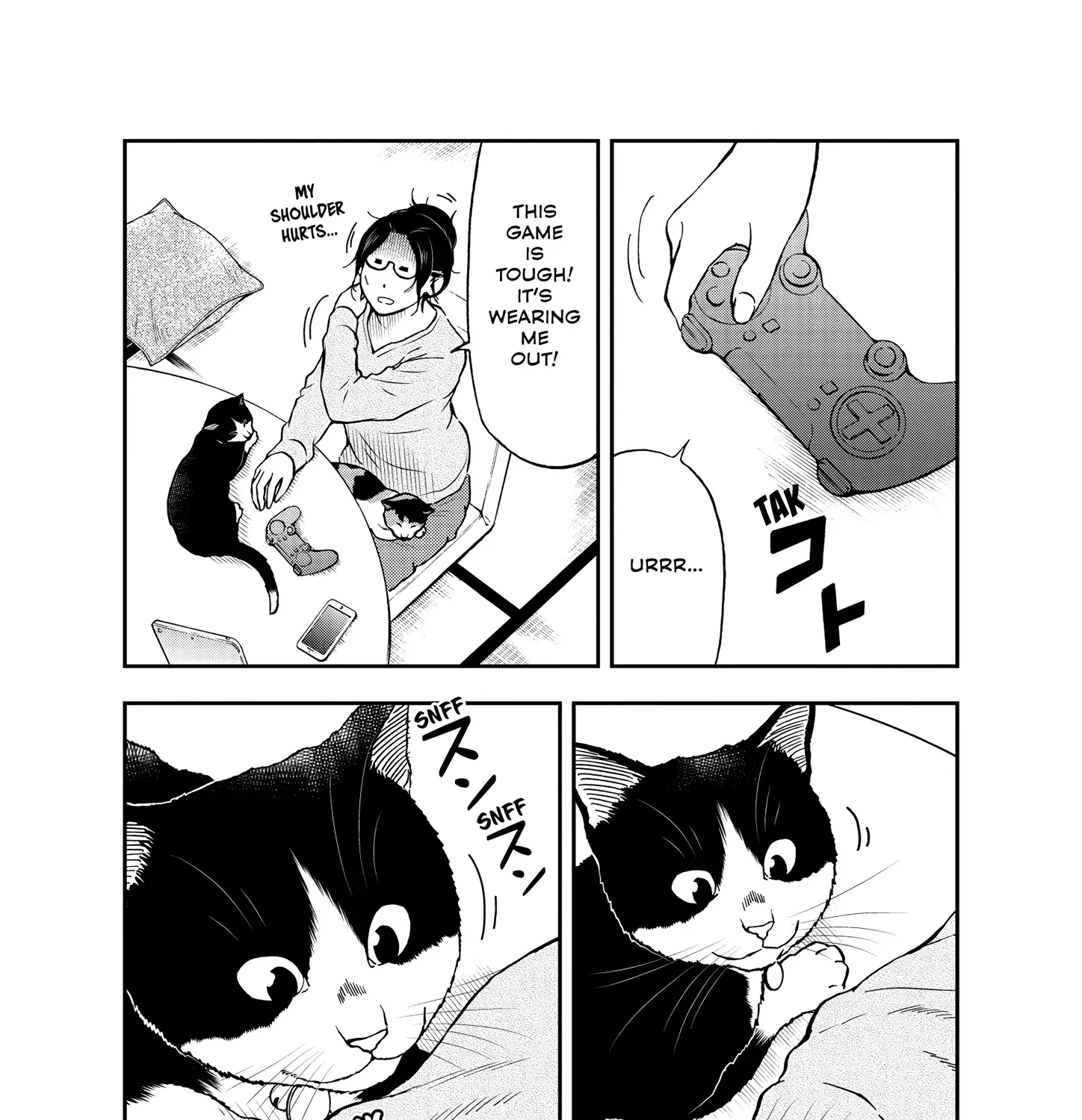 A Gamer Living with a Cat Chapter 47 page 6 - MangaKakalot