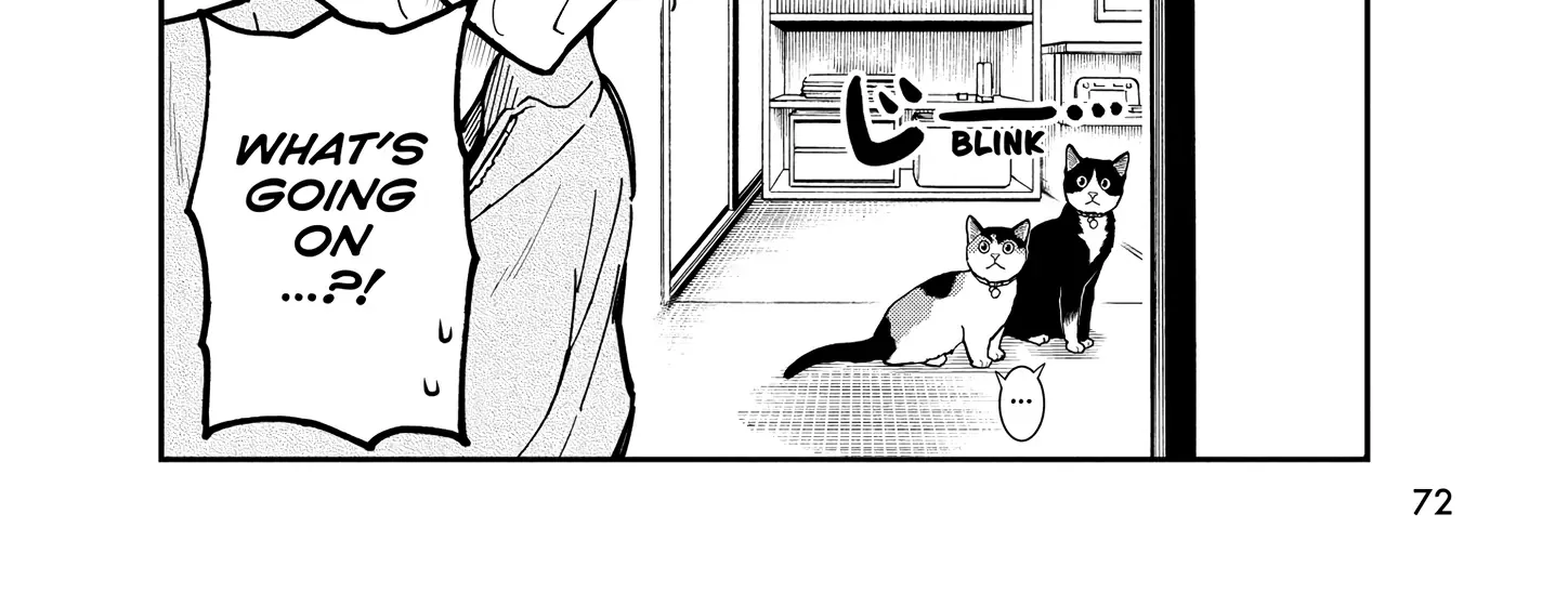 A Gamer Living with a Cat Chapter 49 page 20 - MangaKakalot