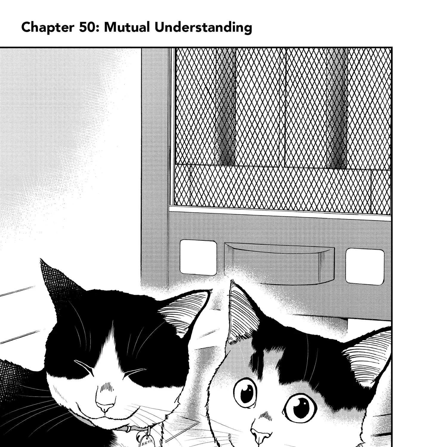 A Gamer Living with a Cat Chapter 50 page 1 - MangaNato