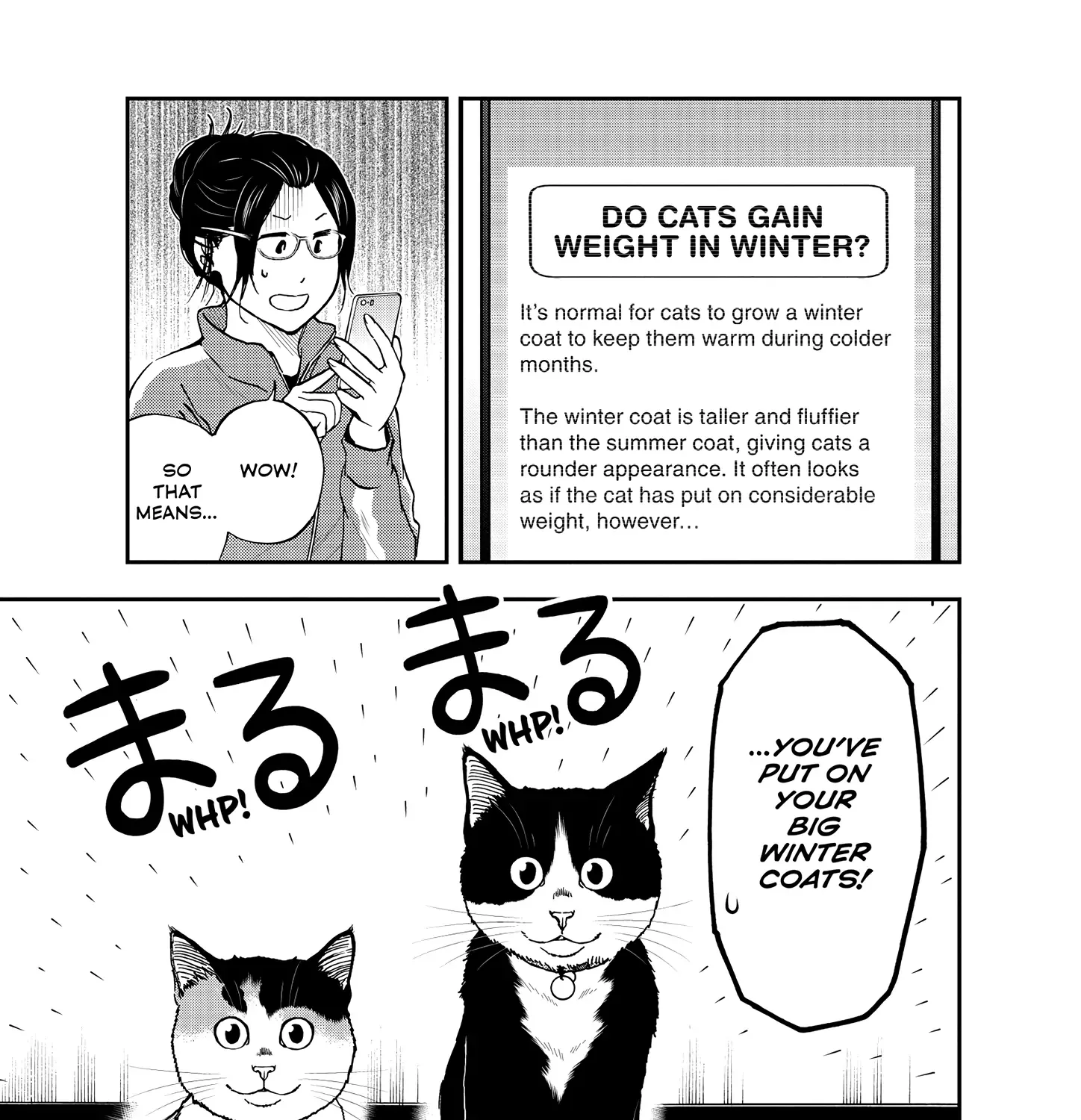 A Gamer Living with a Cat Chapter 51 page 18 - MangaKakalot