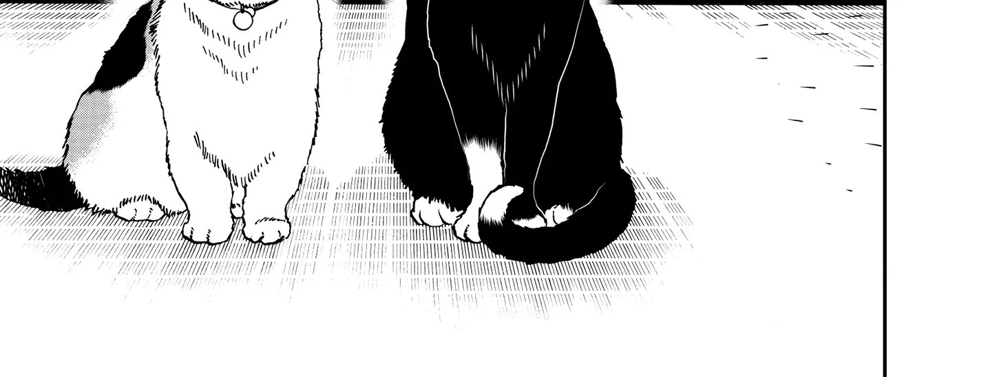 A Gamer Living with a Cat Chapter 51 page 19 - MangaKakalot