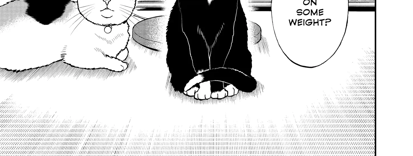 A Gamer Living with a Cat Chapter 51 page 7 - MangaKakalot