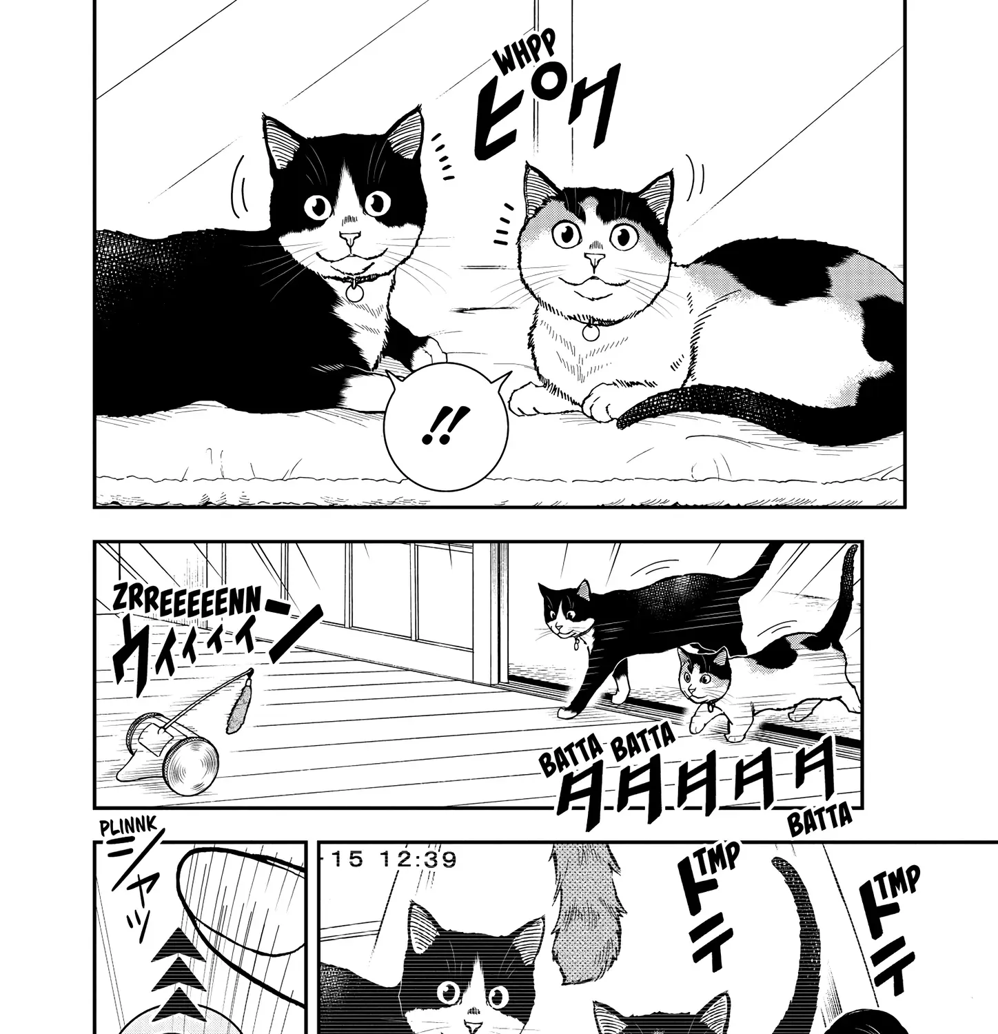 A Gamer Living with a Cat Chapter 53 page 16 - MangaKakalot