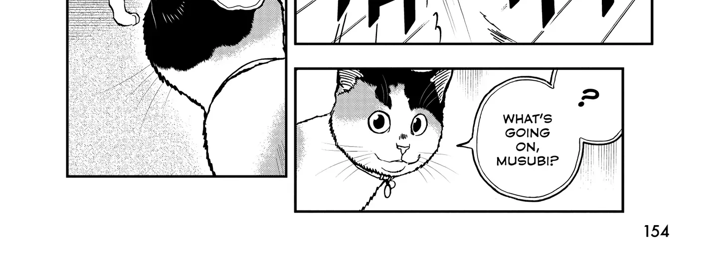 A Gamer Living with a Cat Chapter 55 page 17 - MangaKakalot