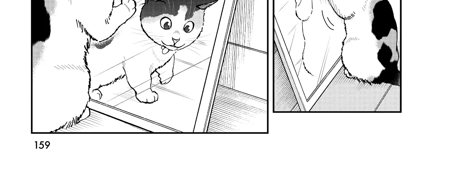 A Gamer Living with a Cat Chapter 55 page 27 - MangaKakalot