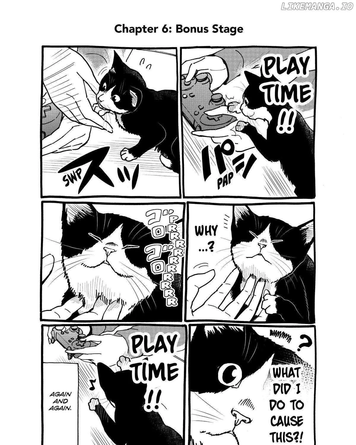 A Gamer Living with a Cat Chapter 6 page 37 - MangaKakalot